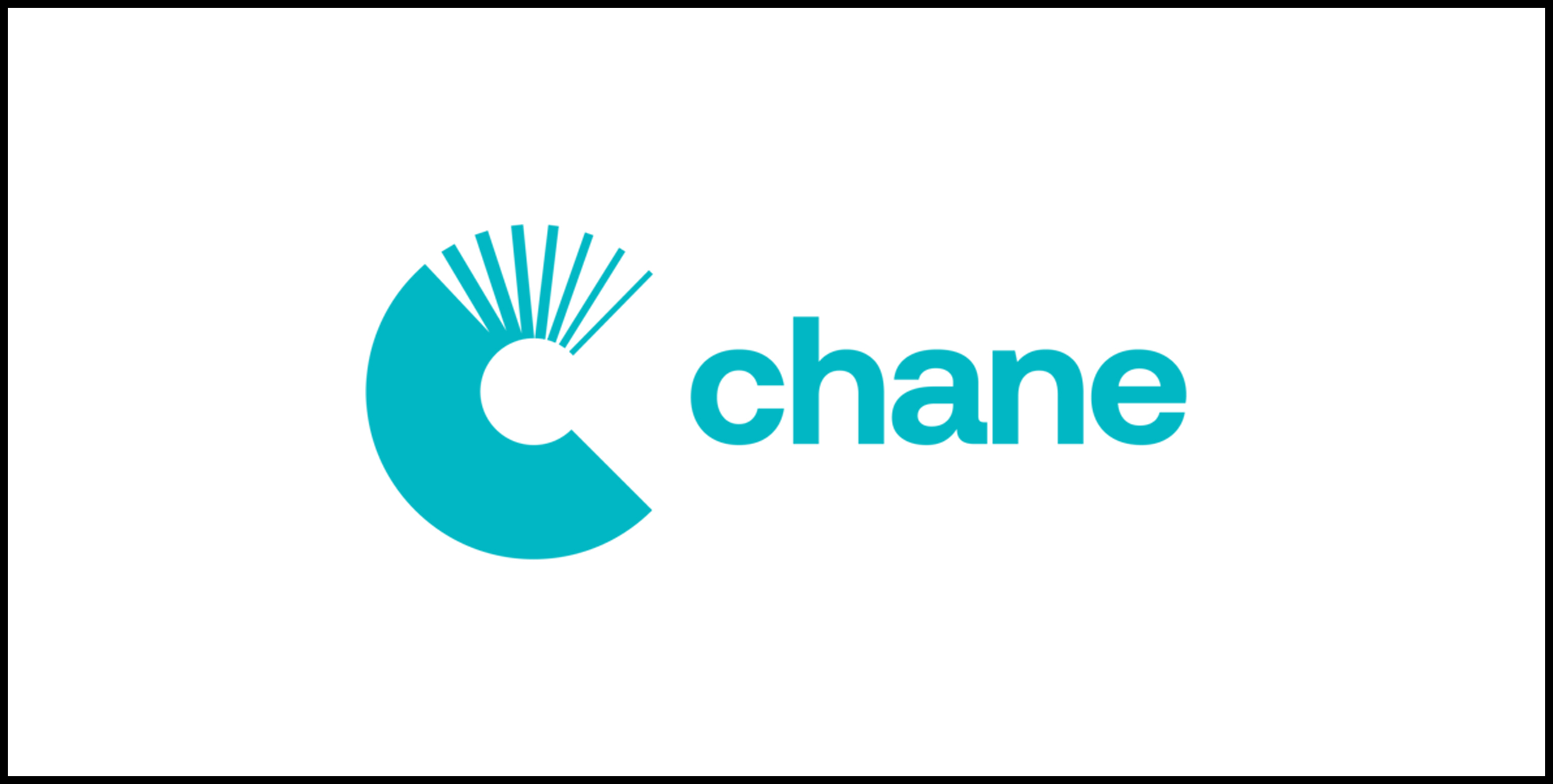 nen3140.net chane terminals